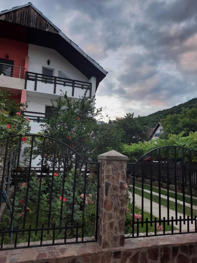 Casa Lica Apartment Caciulata Luaran gambar