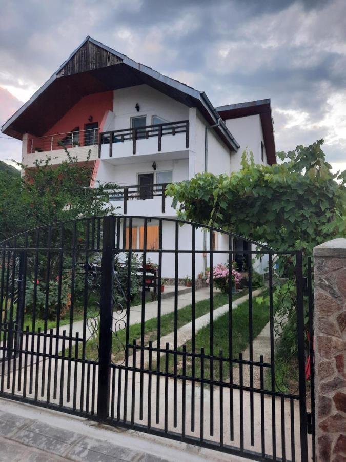Casa Lica Apartment Caciulata Luaran gambar