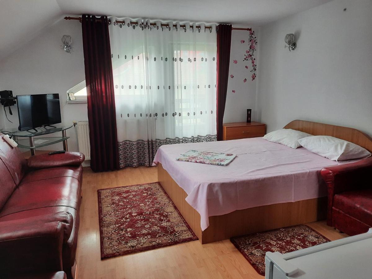 Casa Lica Apartment Caciulata Luaran gambar